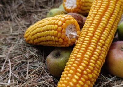 Erntedank Hohkeppel 2025